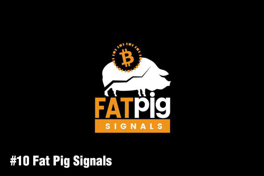 Fat Pig Signals Channel