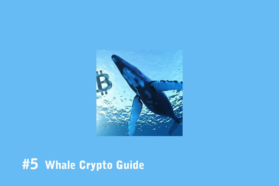 Hướng dẫn về tiền điện tử cá voi