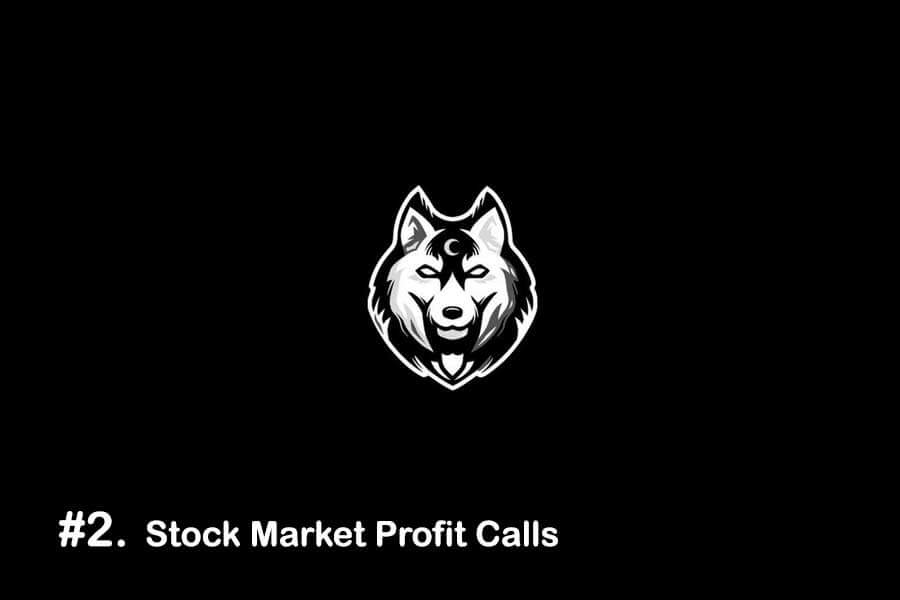 Stock Market Profit Calls